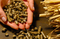free Greenburn biomass boiler quotes