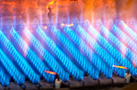 Greenburn gas fired boilers
